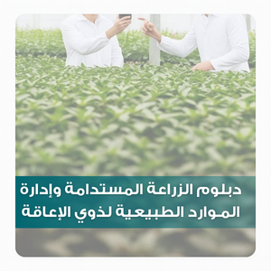 بطاقات تصنيف الدبلومات بموقع الكلية لعام 2025م (16) e6d14e04-cf1e-41c8-a18d-7dd601e55be6.png