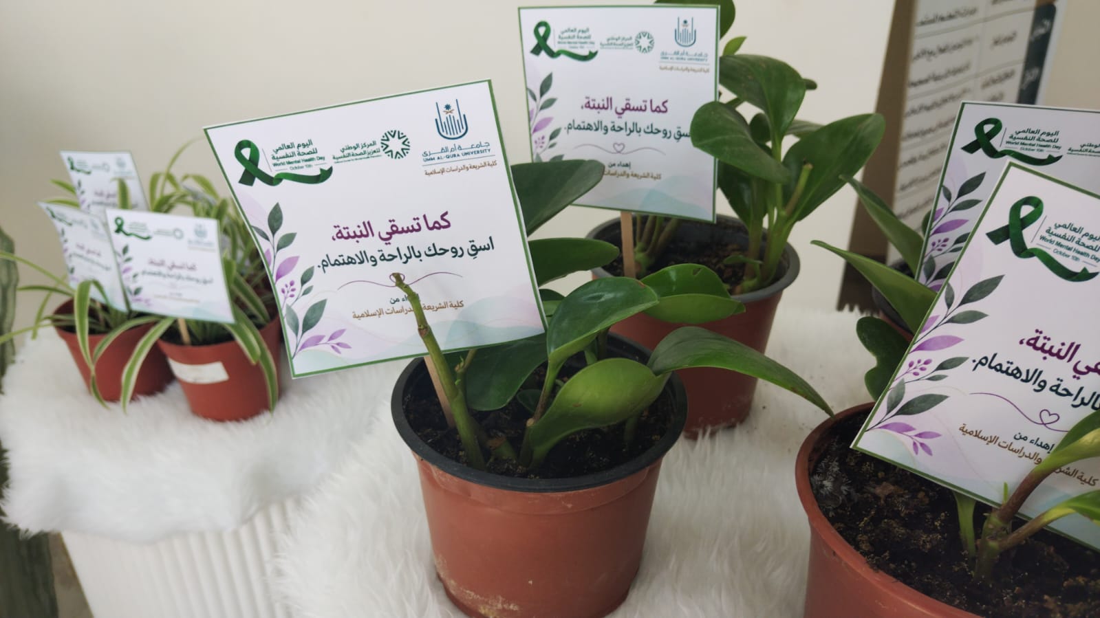 كلية الشريعة تفعل  مبادرة الصحة النفسية بعنوان ( لكل صوت أثــر )