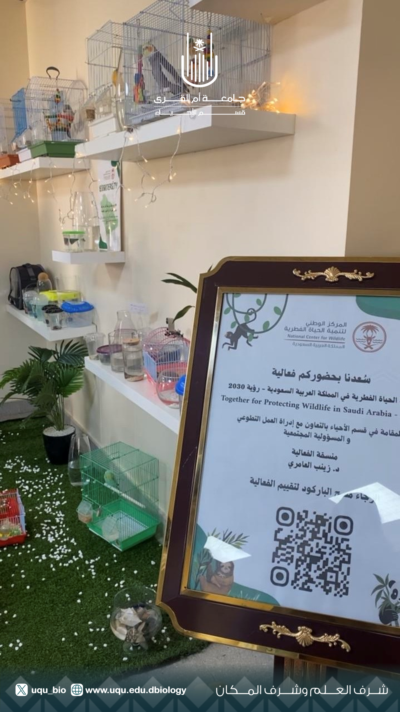 نظم قسم الاحياء فعالية معاً لحماية الحياة الفطرية في المملكة العربية السعودية