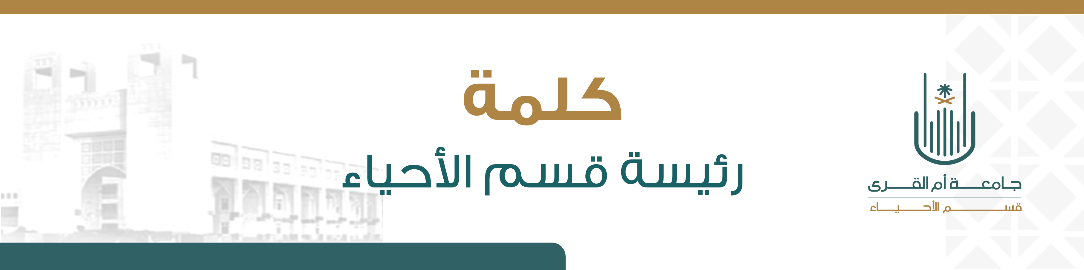 56ab8925-3883-486a-864f-05cf3b83a73e.png