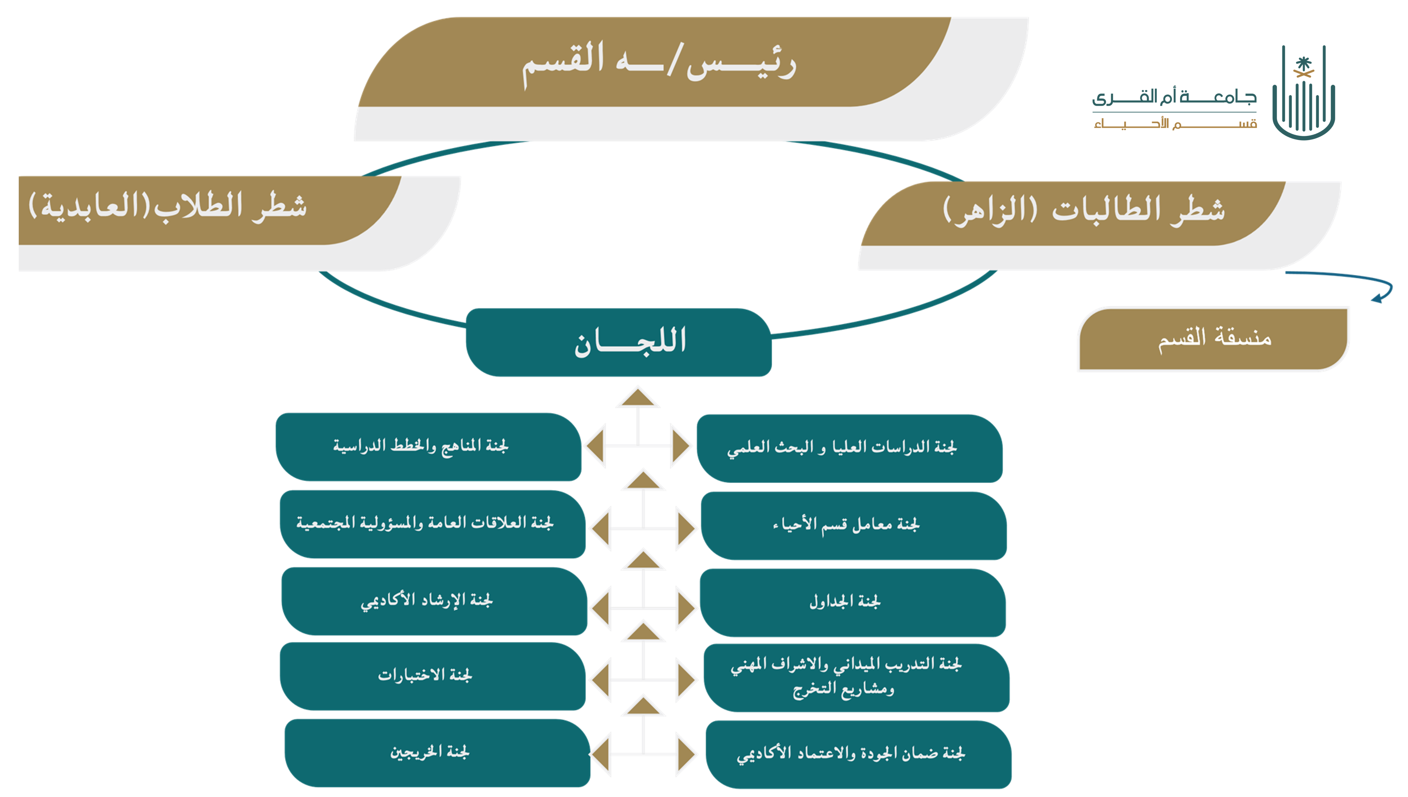 5ea7c9e4-93da-4a22-9060-e80a5c9ca77e.png