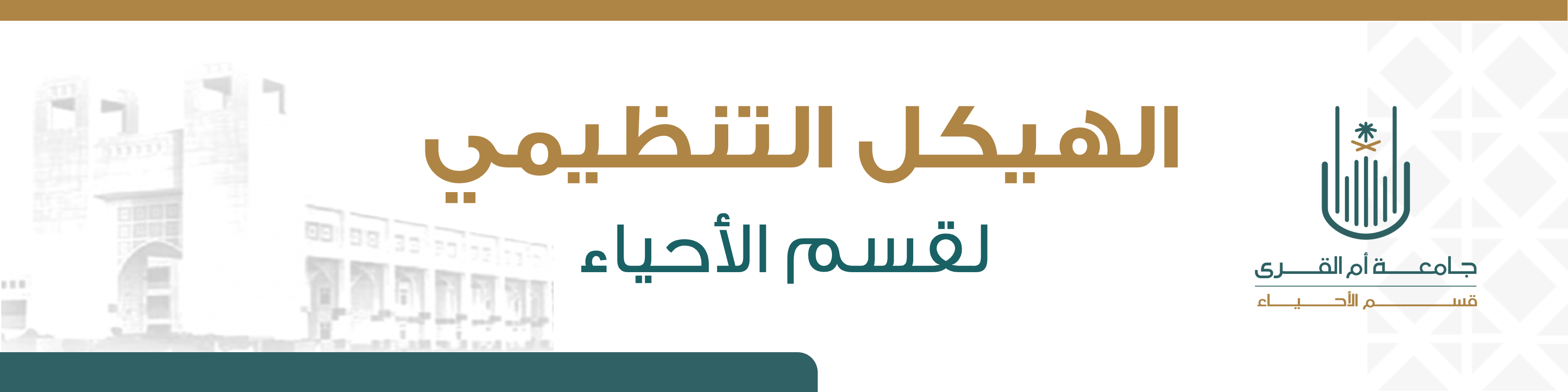 d65d1bc8-3504-4c5e-82e4-b597ab562bb8.png