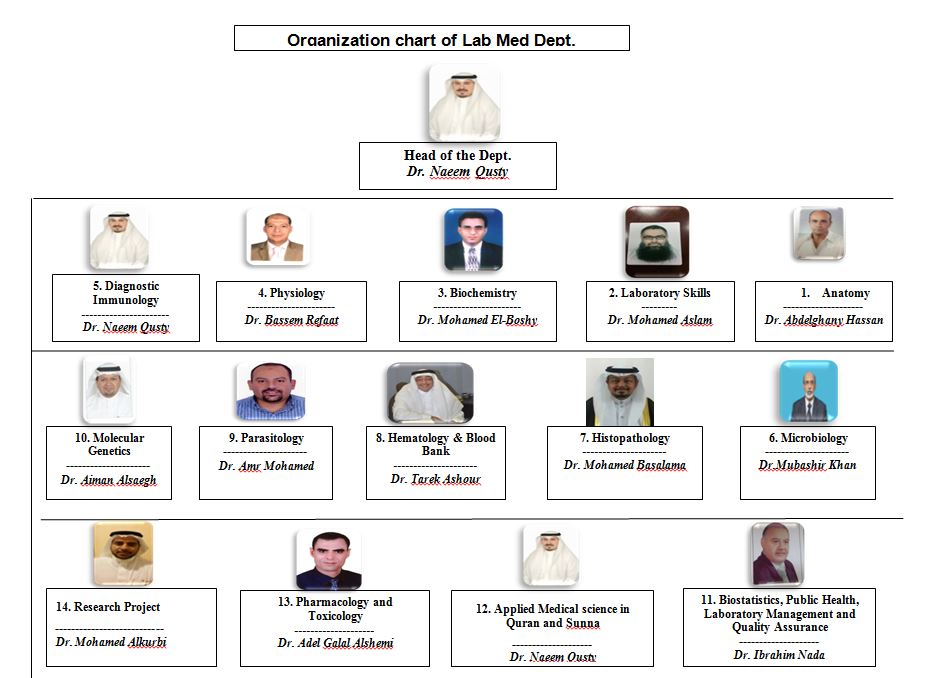 Medical Laboratory Organizational Chart