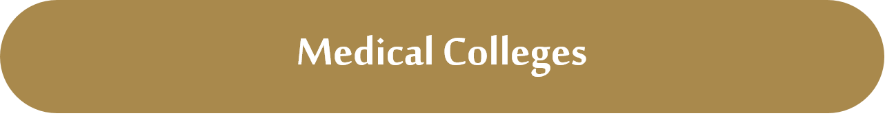 Medical 54fa0482-09b6-41e4-b172-7e40fa051f0d.png