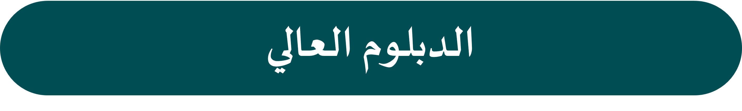 صورة4