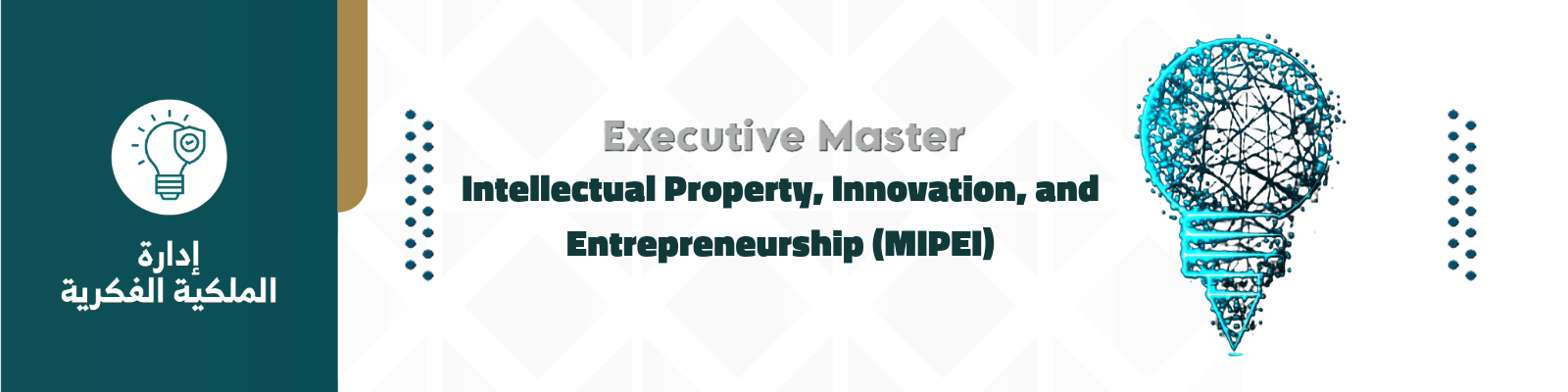 الماجستير التنفيذي في الملكية الفكرية، والابتكار، وريادة الأعمال (MIPEI)