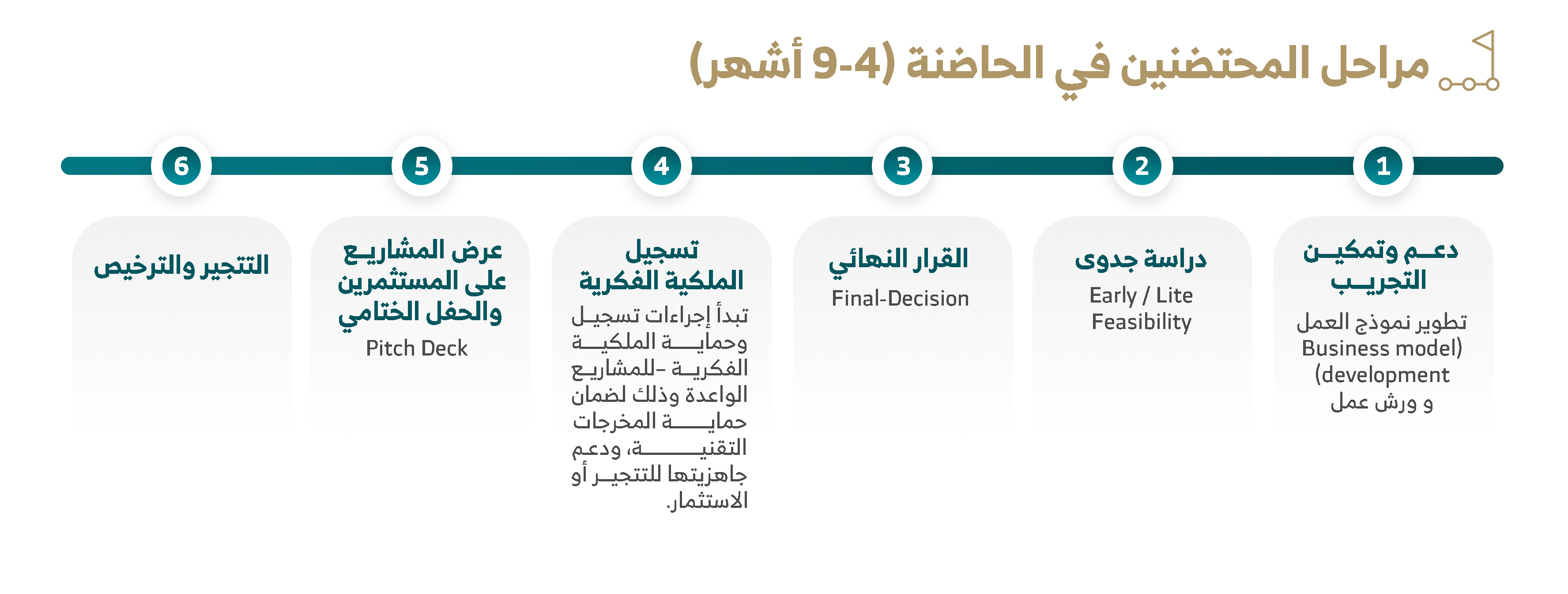 مراحل المحتضنين