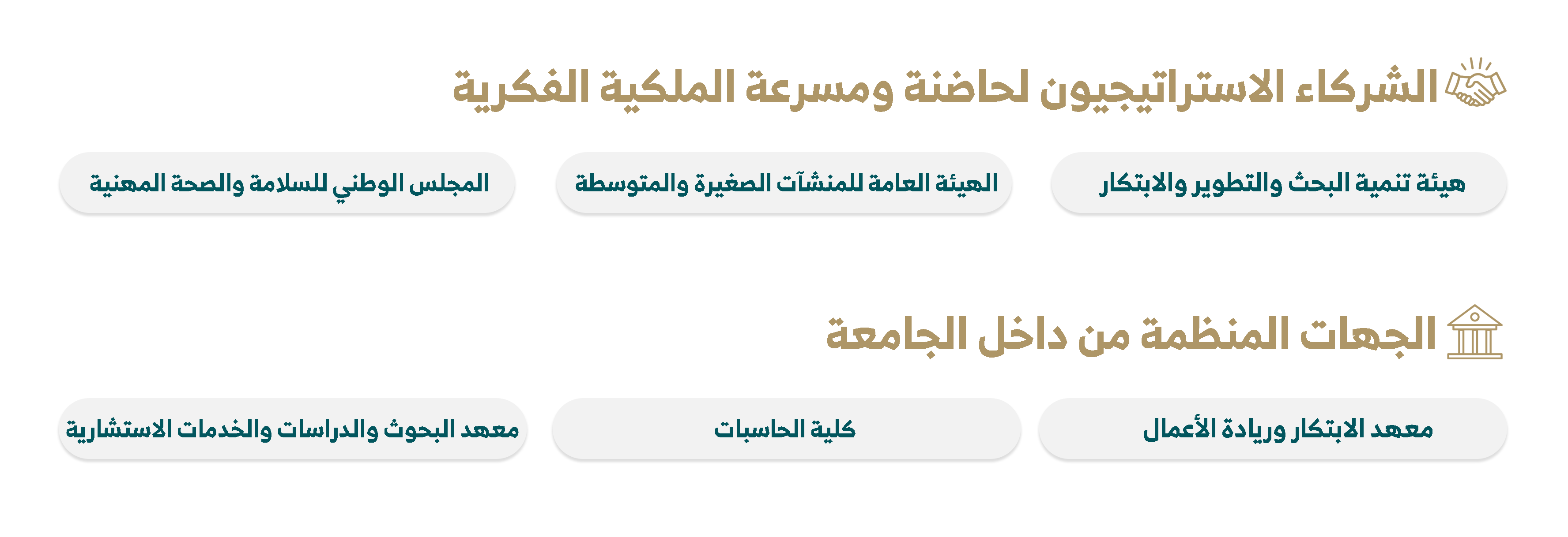 الشركاء والجهات المنظمة