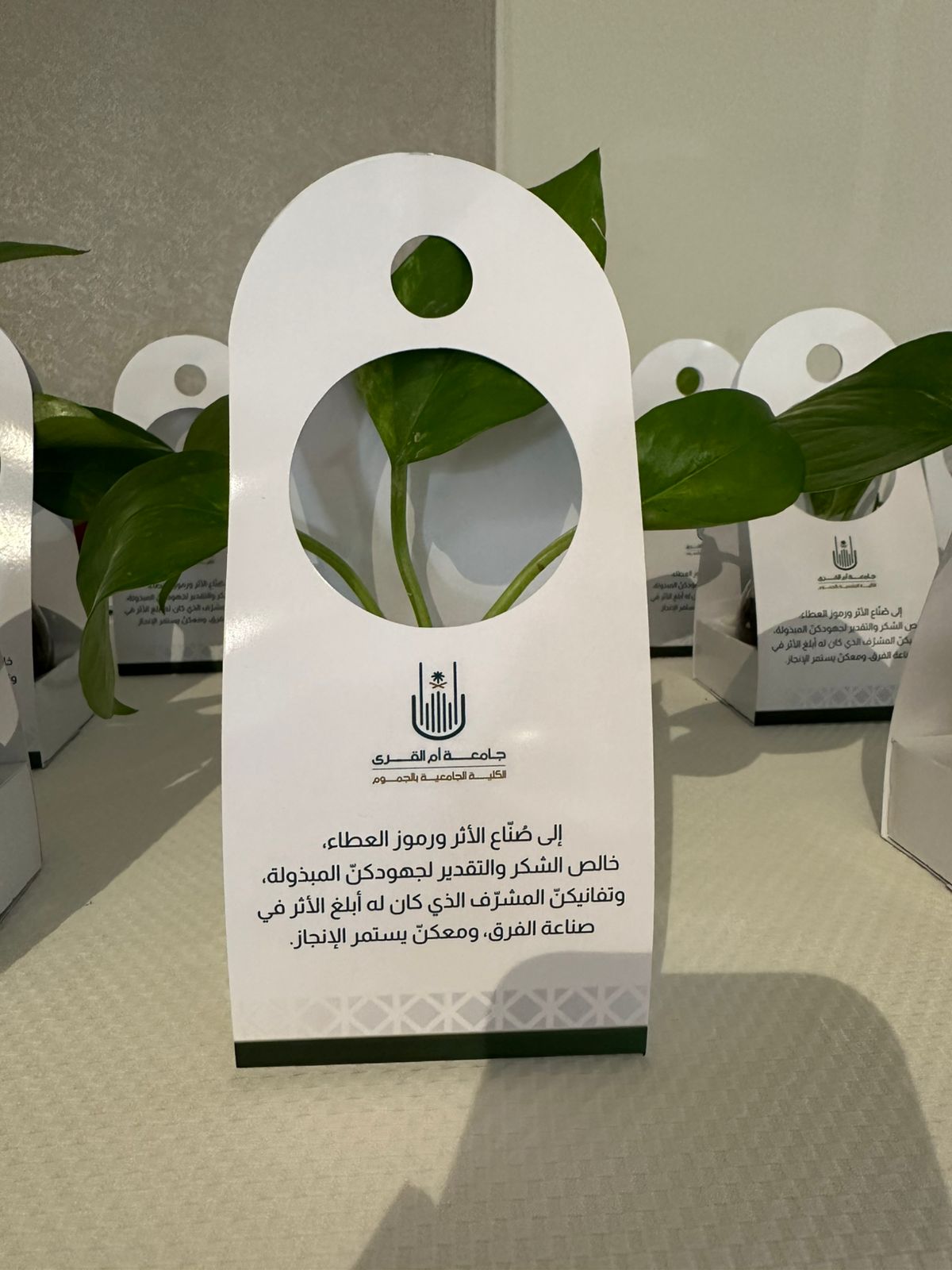 الكلية تُكرم المشاركات في مبادرة دور التعليم العالي في تحسين نتائج الاختبارات الوطنية