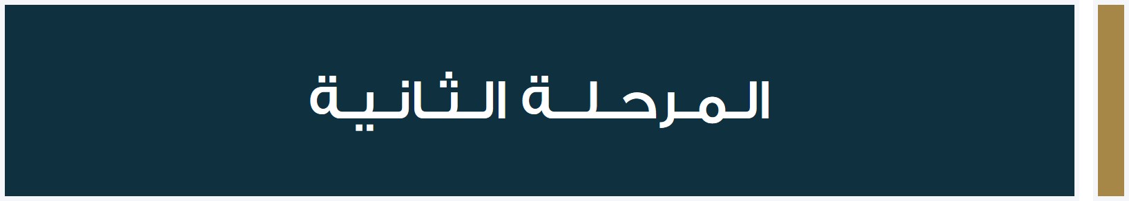 صورة8