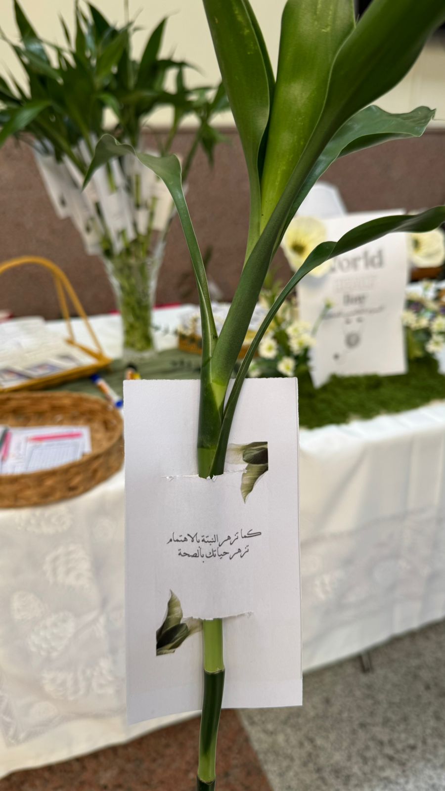 مشاركة قسم الأحياء بيوم الصحة العالمي