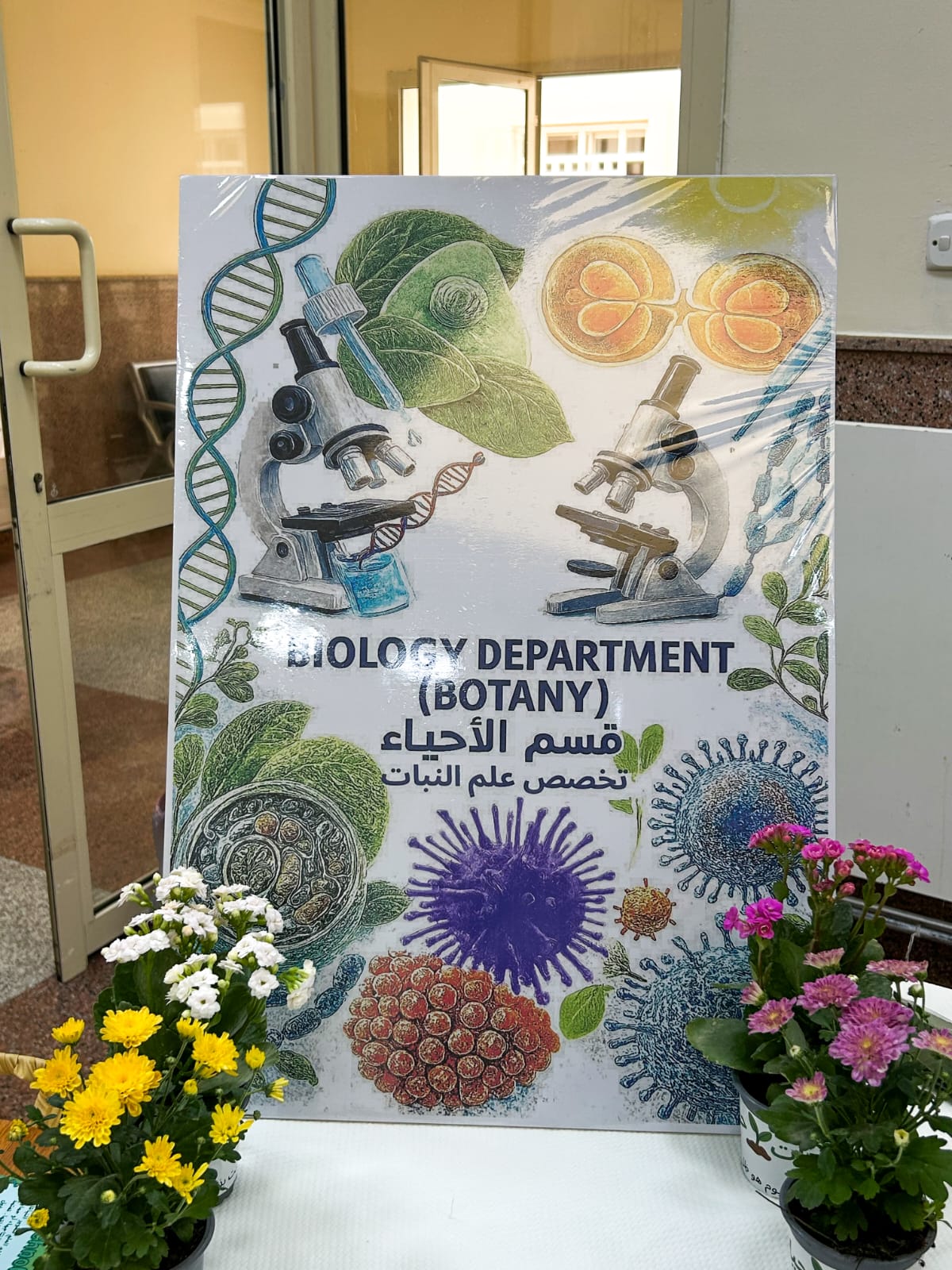 نشاط