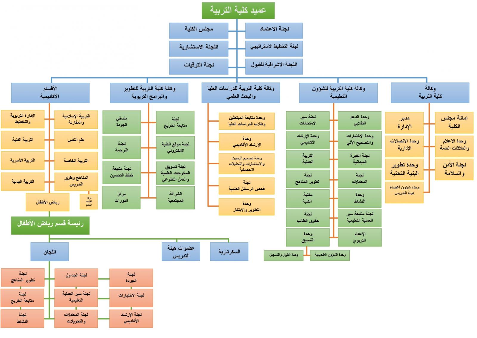 الهيكل التنظيمي رياض الأطفال كلية التربية جامعة أم القرى