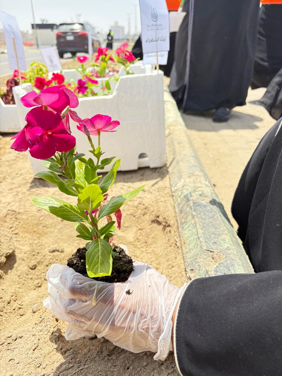 تقيم الكلية بشطر الطالبات فعالية “ليثنا الخضراء” احتفاءً بيوم الأرض العالمي 2025