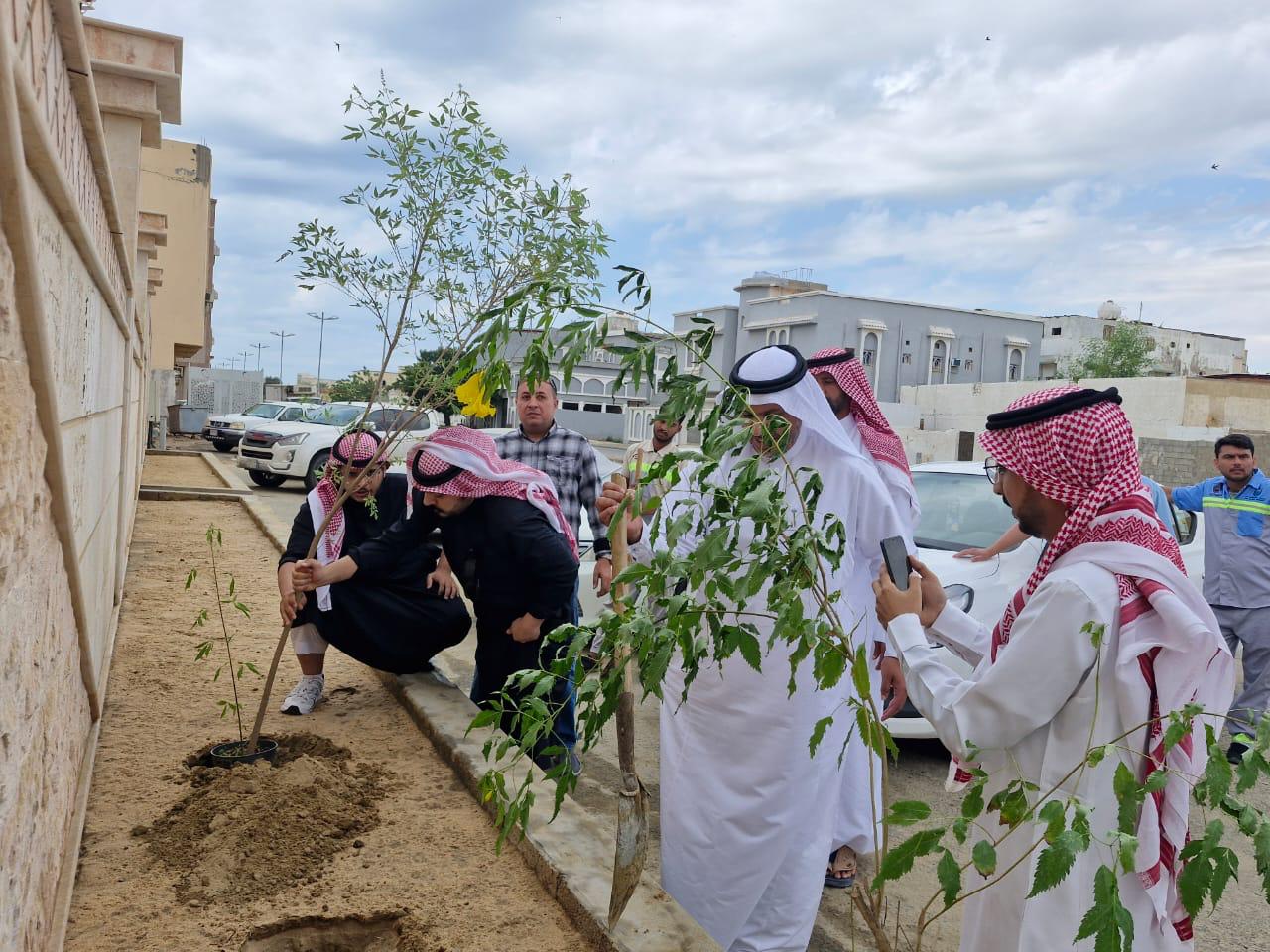الكلية الجامعية بالليث تنظم مبادرة التشجير بالتعاون مع فرع وزارة البيئة والمياه بالمحافظة.