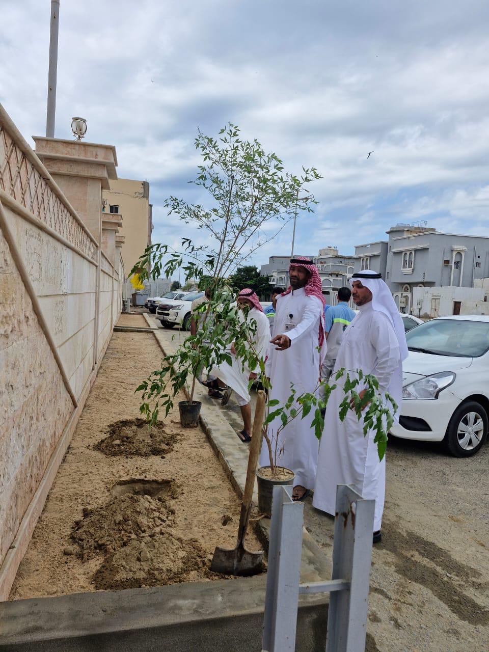الكلية الجامعية بالليث تنظم مبادرة التشجير بالتعاون مع فرع وزارة البيئة والمياه بالمحافظة.