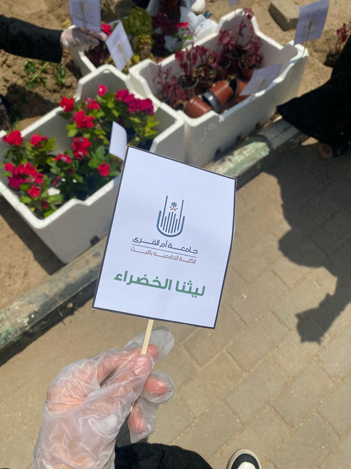 تقيم الكلية بشطر الطالبات فعالية “ليثنا الخضراء” احتفاءً بيوم الأرض العالمي 2025