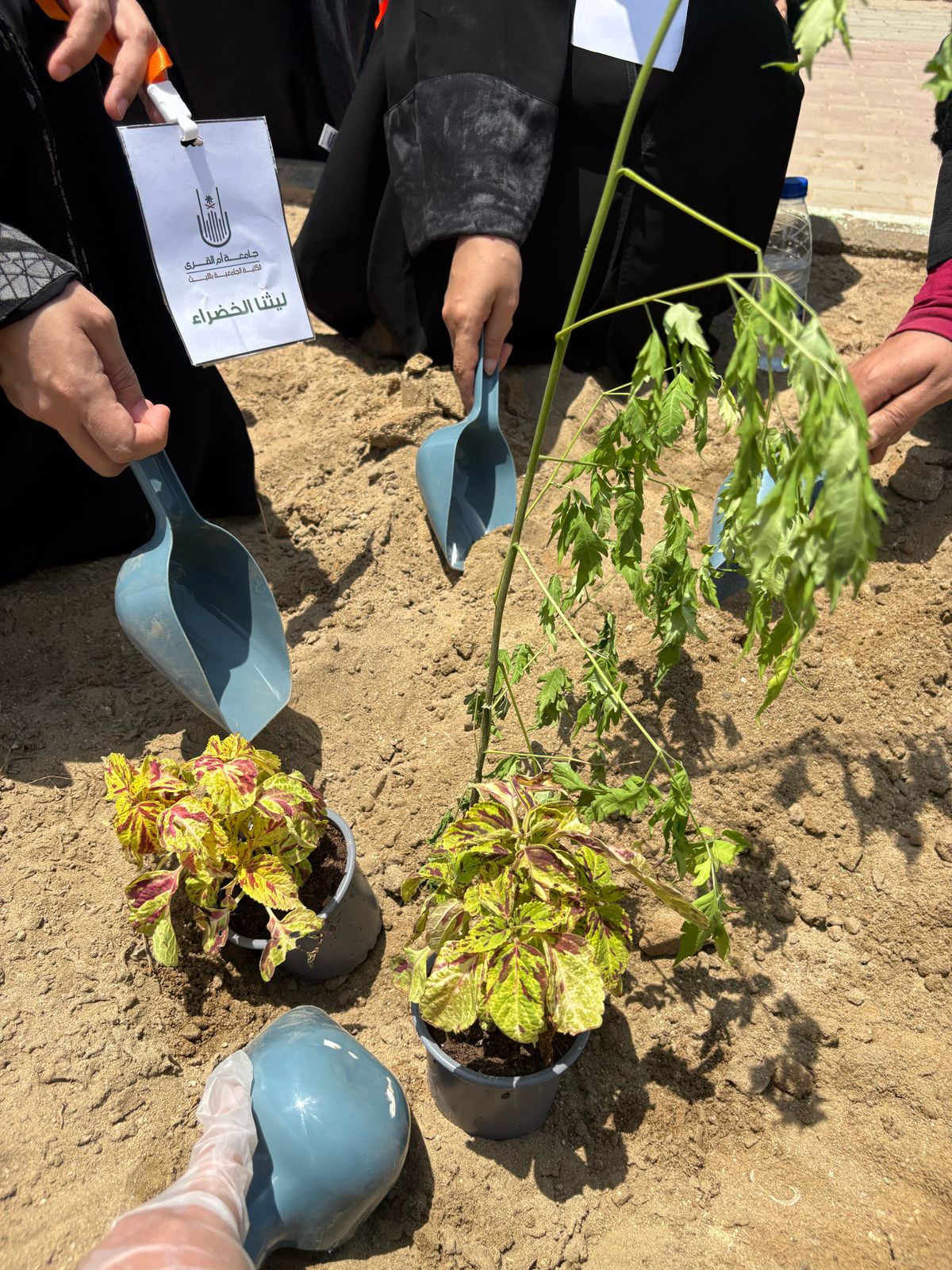 تقيم الكلية بشطر الطالبات فعالية “ليثنا الخضراء” احتفاءً بيوم الأرض العالمي 2025