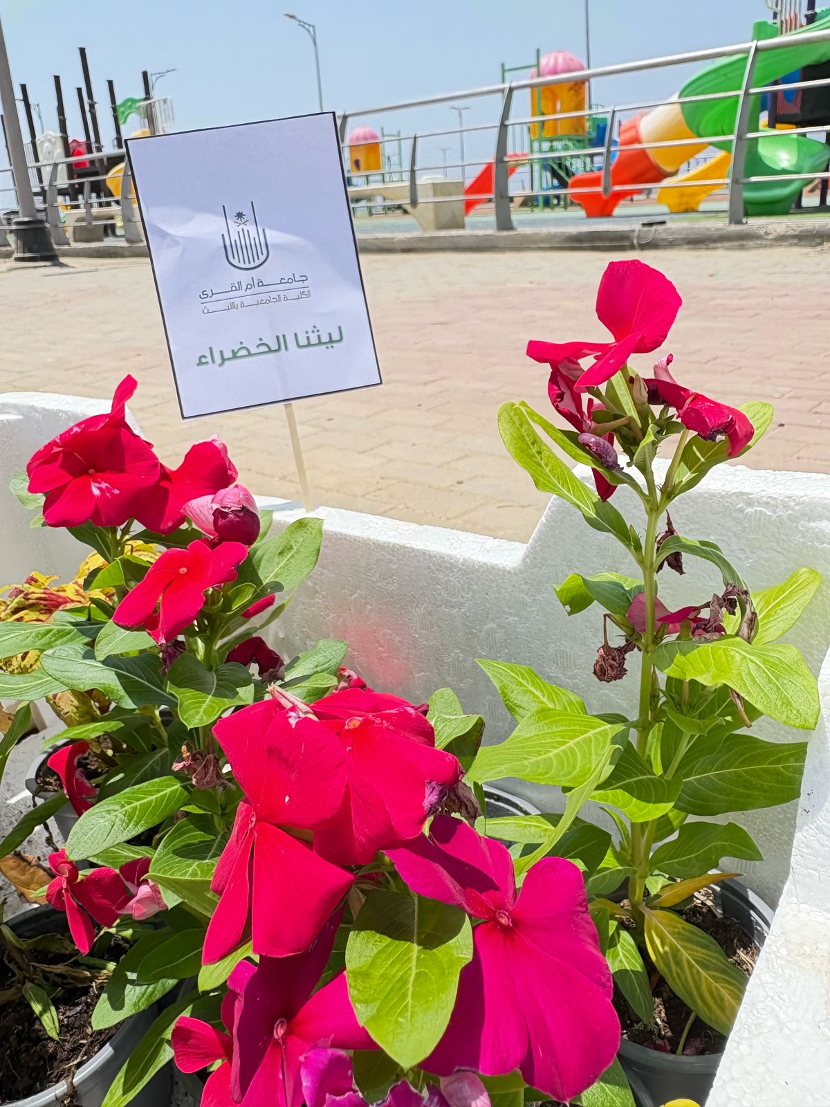 تقيم الكلية بشطر الطالبات فعالية “ليثنا الخضراء” احتفاءً بيوم الأرض العالمي 2025