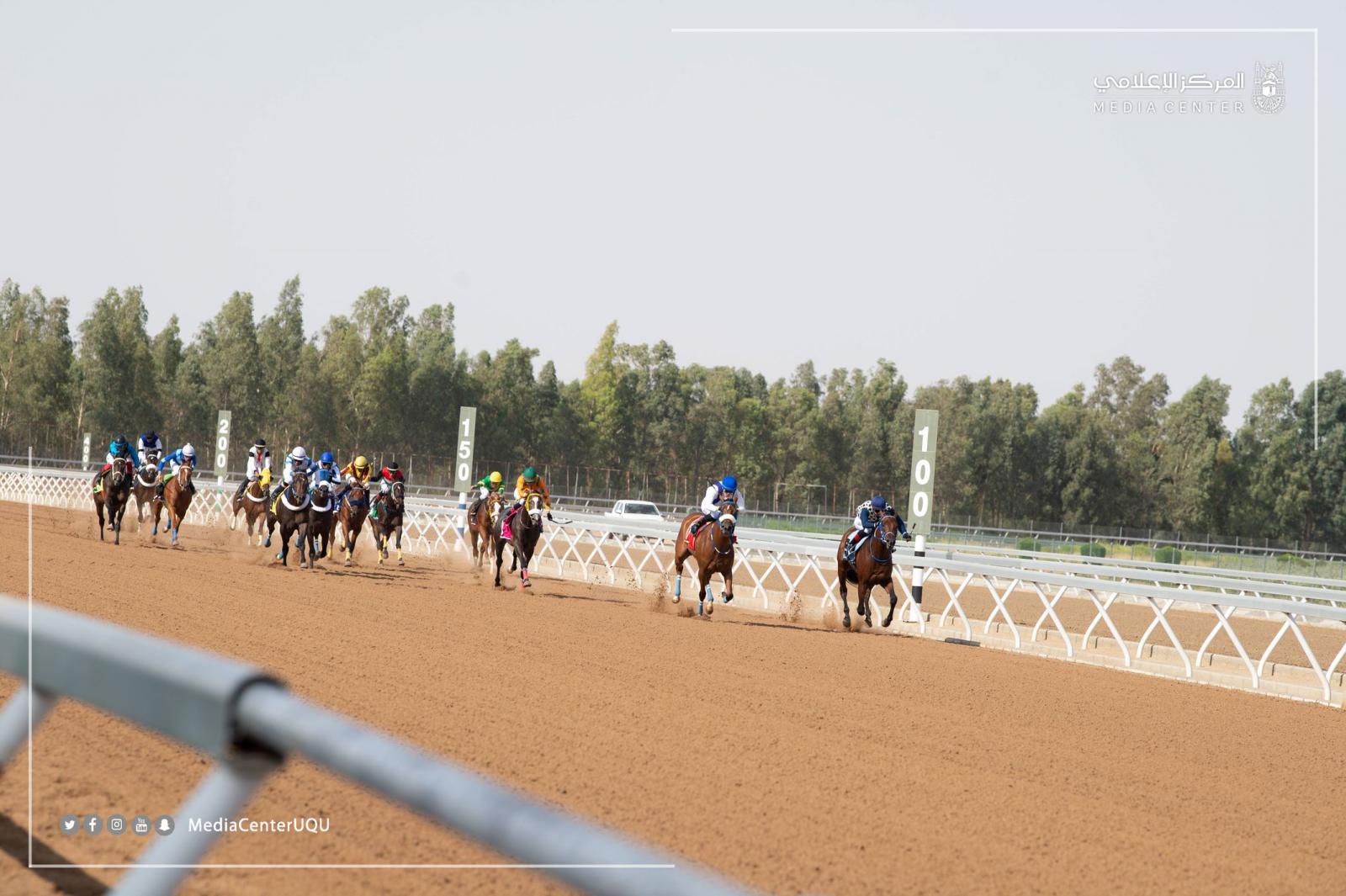 الأمير بندر الفيصل يتوِّج اسطبل (البيرق) بكأس جامعة أم القرى