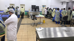 Umm Al-Qura University Launches the Advanced Anatomy Workshop for Microscopic Restoration Surgeries