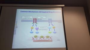 “Ways to Overcome Breast Cancer Cells’ Resistance” by Pharmacy College