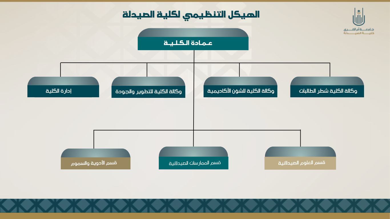 81a741d5-f7bd-4e93-b21e-448029b7a4b5.png