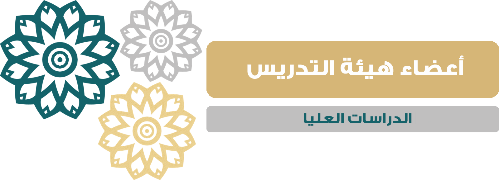 hyy-altdrys-aalya.png