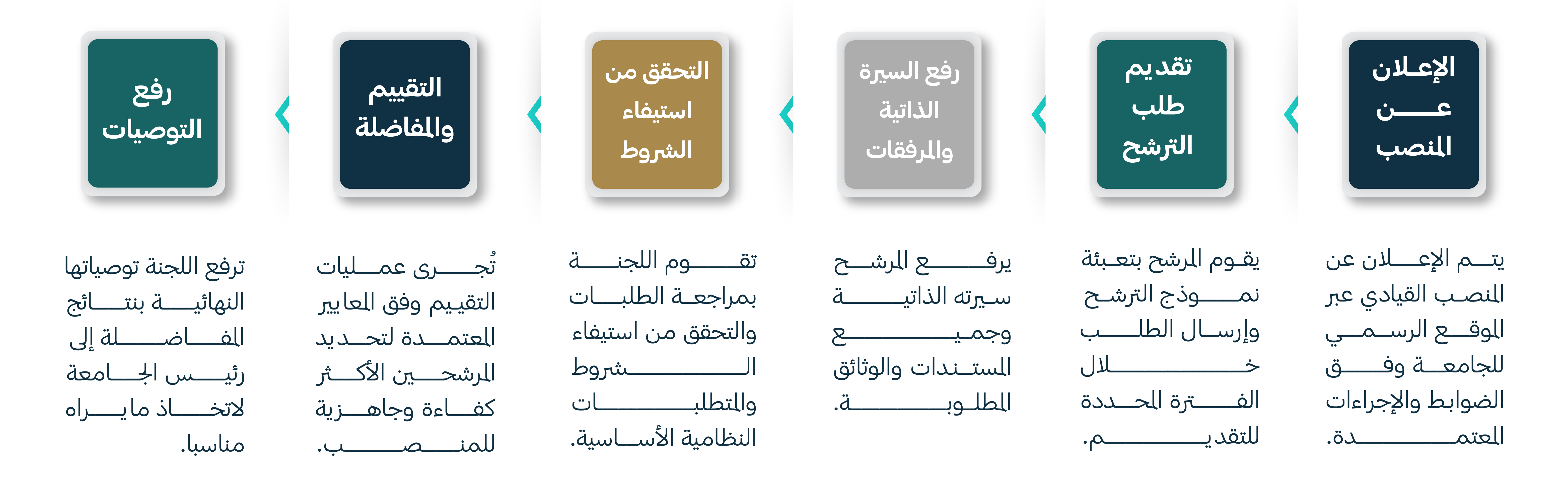 بوابة ترشح القيادات-06